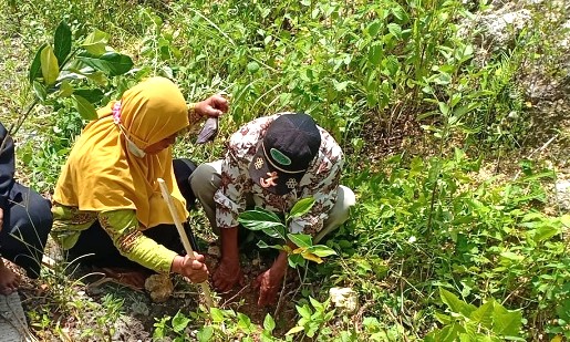 Aisyiyah Blitar hijaukan Pantai Pangi di Desa Tumpakkepuh, Kecamatan Bakung, Kabupaten Blitar dengan menanam 500 pohon, Sabtu (22/1/2022).