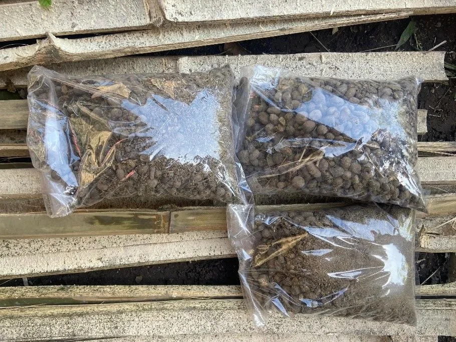 Mahasiswa KKN UMM Ajari Warga Buat Pupuk dari Limbah hingga Digitalisasi Peternakan