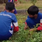 Intip Keseruan Morning Activity di SD Almadany