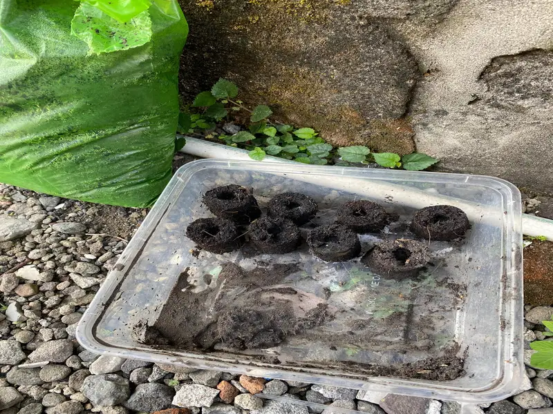 KKN UMG Perkenalkan Alat Sederhana Pembuat Briket Media Tanam dari Pipa dan Paku