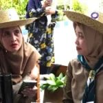 SDMM Tunjukkan Inovasi Lingkungan Sehat Terintegrasi kepada Juri LLSMS 2025