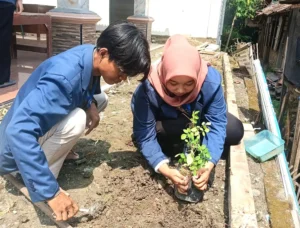 Mahasiswa KKN UMG Kenalkan Khasiat Herbal lewat Penanaman Bunga Telang di Desa Jombangdelik