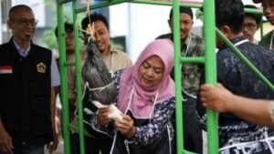 Juru Sembelih Belajar dengan Halal Center Umsida, Pastikan Hewan Ternak Halal Dikonsumsi
