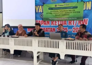 Pengabdian Dosen UMM, Kembangkan Teknologi Budidaya Pisang dan Melon di Pandaan