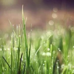 Sayap yang Tumbuh dari Perjuangan