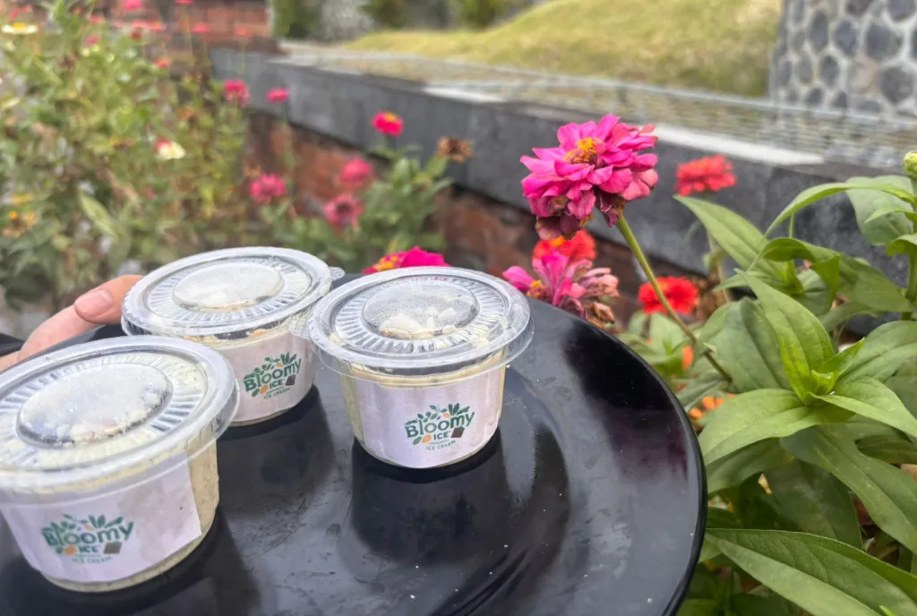 Es Krim Daun Kelor untuk Cegah Stunting Kreasi Santriwati PPI AMF