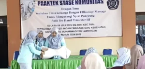 Tingkatkan Edukasi bagi Ibu Hamil, Prodi Kebidanan dan ARS Umla Berkolaborasi Gelar Smart Prenatal