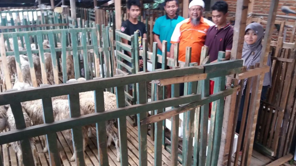 Lazismu Jatim Salurkan Bantuan 39 Domba untuk Mahasiswa