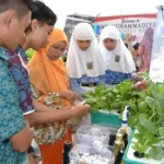 Murid-Murid Belajar Hidroponik di Arena Tanwir