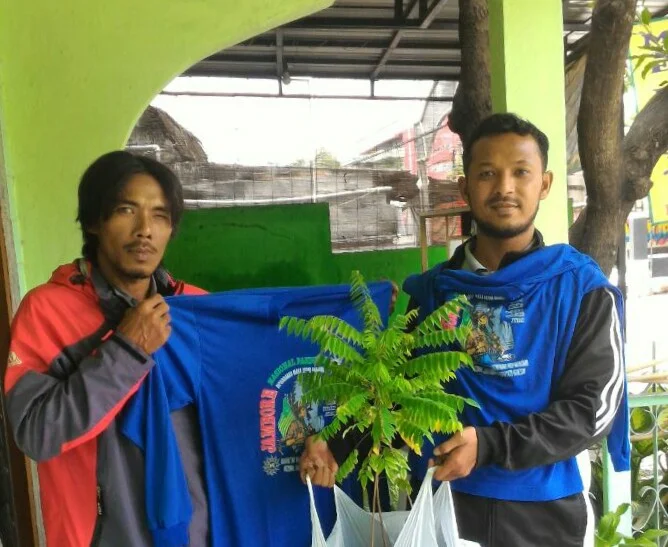 Dibuka! Sedakah Bibit Tanaman Produktif