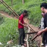 Mahasiswa UMM Teliti Energi Alternatif dari Limbah Ranting