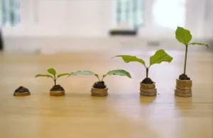 Rezeki Tak Butuh Pengejar, Ia Tahu ke Mana Harus Pulang