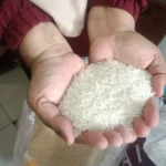 Waspada Beras Oplosan! Dosen Umsida Ungkap Cara Deteksi dan Pencegahannya
