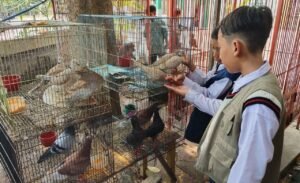 Ketua PDS SD Almadany Jadi Teladan Bagi Semua