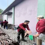 Atap Baru untuk Senyum Anak-Anak TK ABA Sukowono: Aksi Nyata Mahasiswa KKN Unmuh Jember