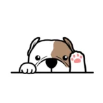 Kisah Kiai, Pendeta, dan Doa Anjing