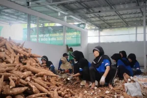 Jihad Kedaulatan Pangan, PP Muhammadiyah Komitmen Garap Mocaf