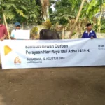 Sumbangan Sapi Lazizmu  Ini Menyulut Semangat Nasyiah untuk Terus Berbagi