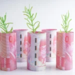 Uang Indikator Kekayaan atau Kebahagiaan?