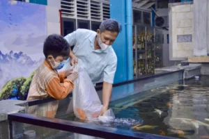 Siswa Ini Sumbangkan Ikan Kesayangannya untuk Kolam SD Mugeb