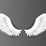 Doa Dua Malaikat setiap Pagi dan Sore