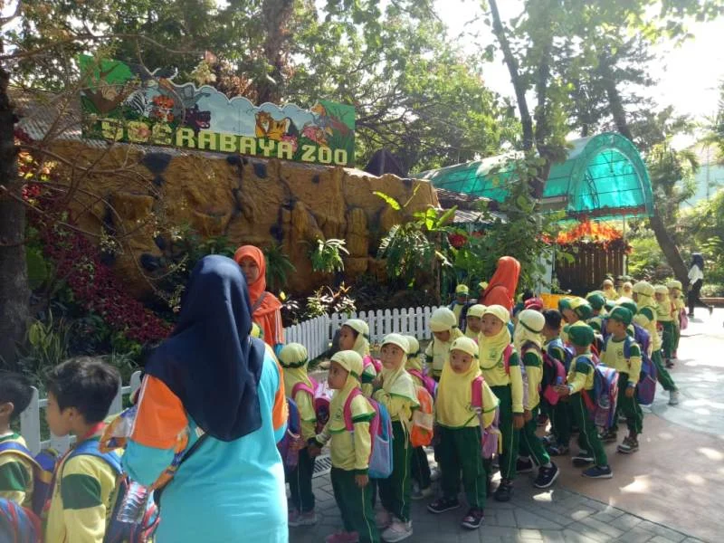 Kunjungi KBS, Siswa Ini Minta Anak Gajah Dibawa ke Sekolah