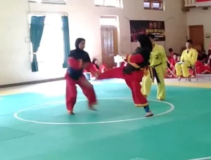 Santri ABSM Dinobatkan sebagai Pesilat Terbaik Kejurda Tapak Suci