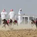 Hukum Memelihara Anjing