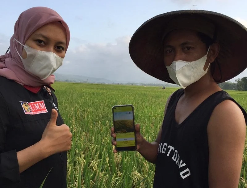 E-Rice Detector, Pendeteksi Penyakit Padi Karya Mahasiswa UMM
