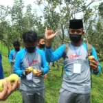 Asyiknya Siswa Miosi Petik Apel dari Pohon