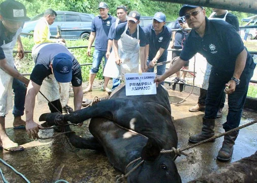 Melanjutkan Tradisi Baik: PCIM dan PCIA Malaysia Adakan Kurban