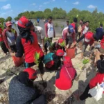 Jumat Berkah di Bawean Diisi dengan Tanam 300 Bakau