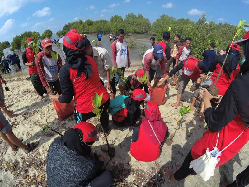 Jumat Berkah di Bawean Diisi dengan Tanam 300 Bakau