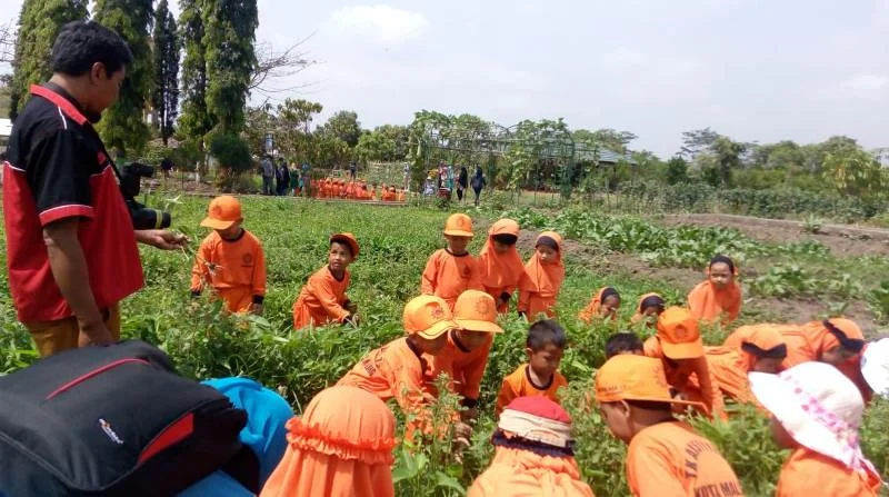 Belajar Tanaman Sambil Asyik Main Lumpur