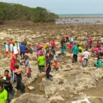Menghutankan Pantai Paciran dengan 3.000 Tunas Bakau
