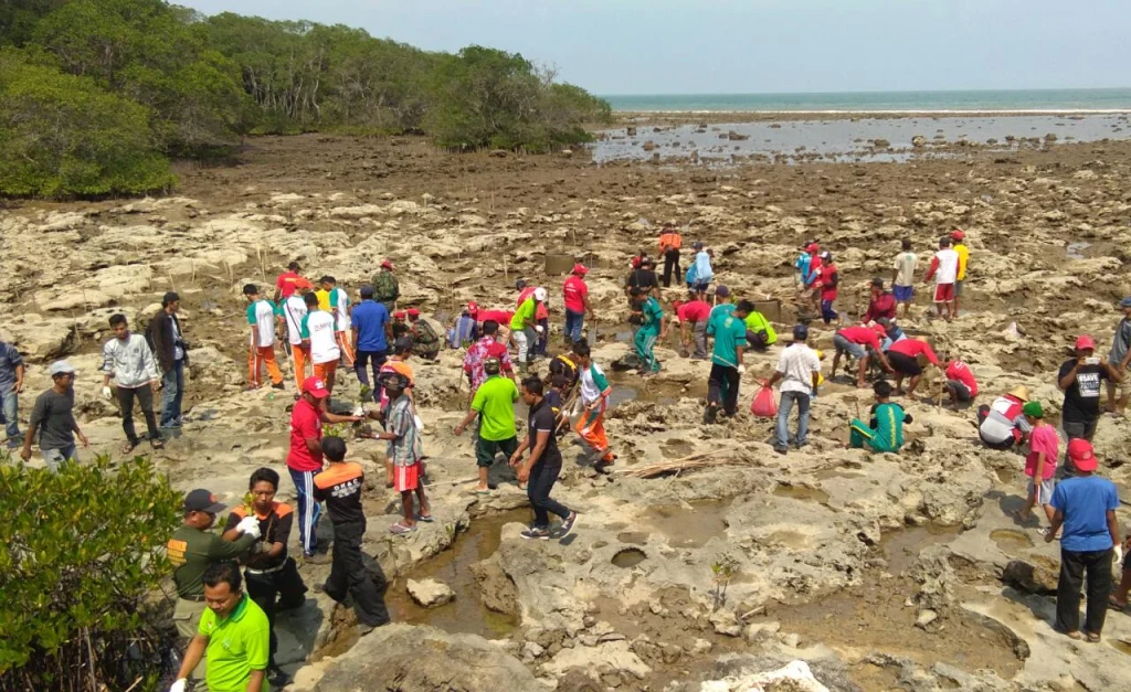 Menghutankan Pantai Paciran dengan 3.000 Tunas Bakau