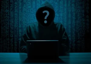 Bjorka, Hacker Menantang Pemerintah
