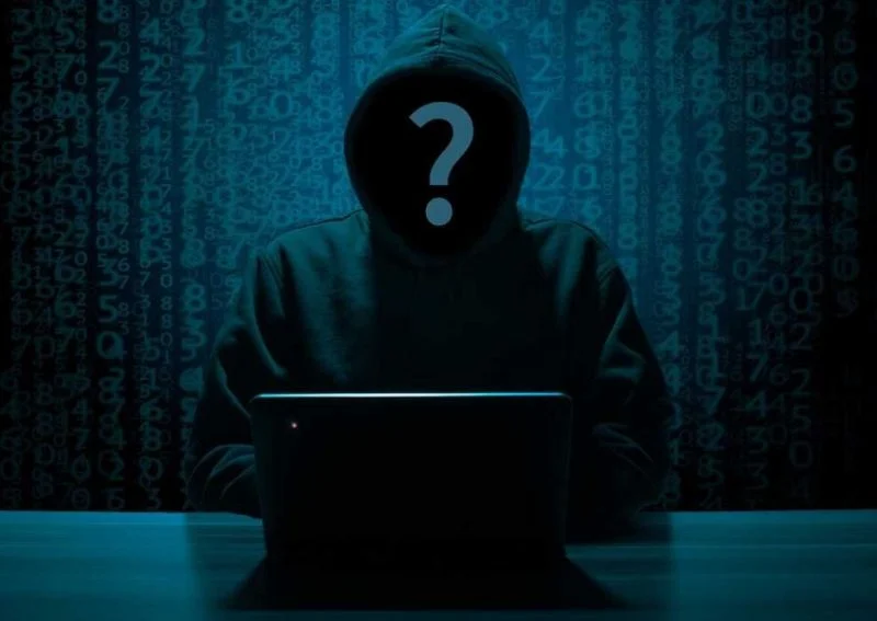 Bjorka, Hacker Menantang Pemerintah