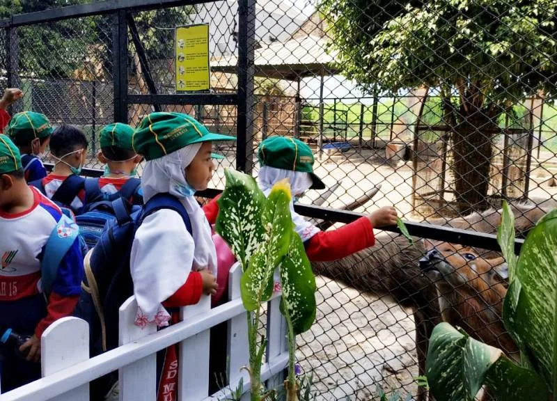 Masuk KBS Anak-Anak Ini Cuma Bawa Kacang Panjang