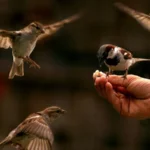 Efek Ganda Pahala Sedekah dengan Cara Ini