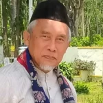 Perankingan Universitas, Budak Westernisasi  