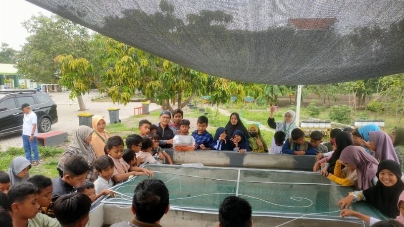Pembelajaran Pemeliharaan Ikan, SD Almadany Tanamkan Cinta Lingkungan dan Kemandirian Siswa