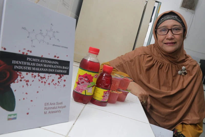 Dosen Ini Temukan Pewarna Makanan Alami dari Ekstrak Bunga