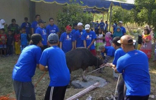 Syarat-Syarat Hewan yang Sah untuk Ibadah Kurban