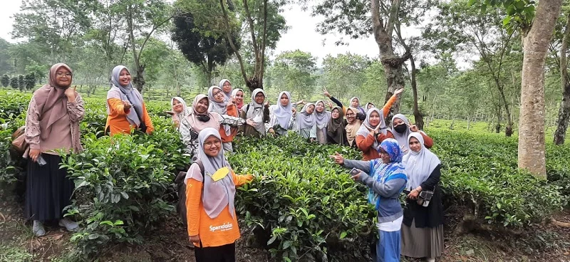 Usai Outbound, Guru Spemdalas Keliling Kebun Teh Naik Kereta