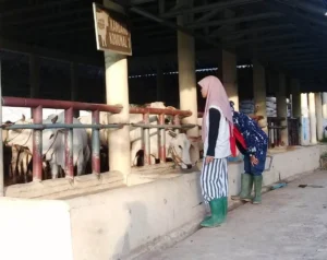 Siswa Hamas School Belajar Jadi Agroentrepreneur