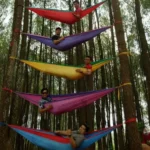 Akreditasi Rumah Sakit Itu Rasa Ndredegnya seperti Menaiki Hammock