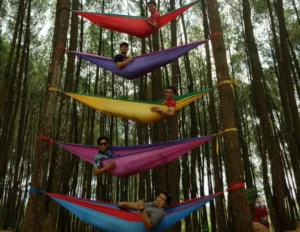 Akreditasi Rumah Sakit Itu Rasa Ndredegnya seperti Menaiki Hammock