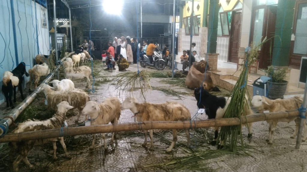 PRM Campurejo Bagikan Kebahagiaan Kurban di Tiga Titik Lokasi