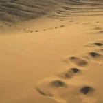 Pendulum Sejarah Itu Bernama Muharram